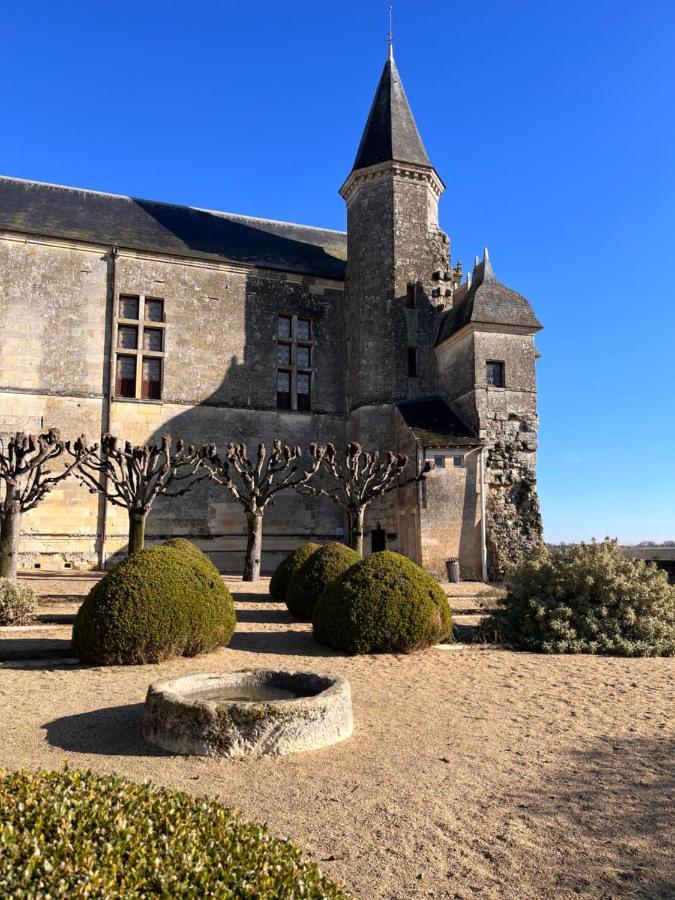 Maisons D'Hotes Du Chateau Au Grand Pressigny Le Grand-Pressigny Eksteriør bilde